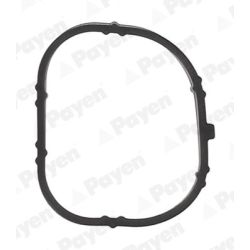 Tarpiklis, įsiurbimo kolektoriaus korpusas PAYEN JD6170