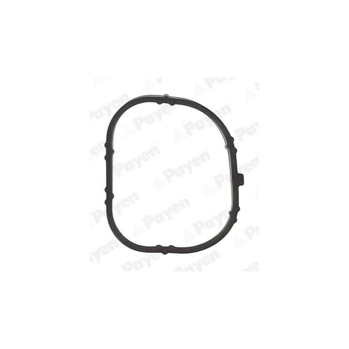 Tarpiklis, įsiurbimo kolektoriaus korpusas PAYEN JD6170