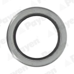 Tarpiklis, alyvos išleidimo angos kaištis PAYEN KG5011