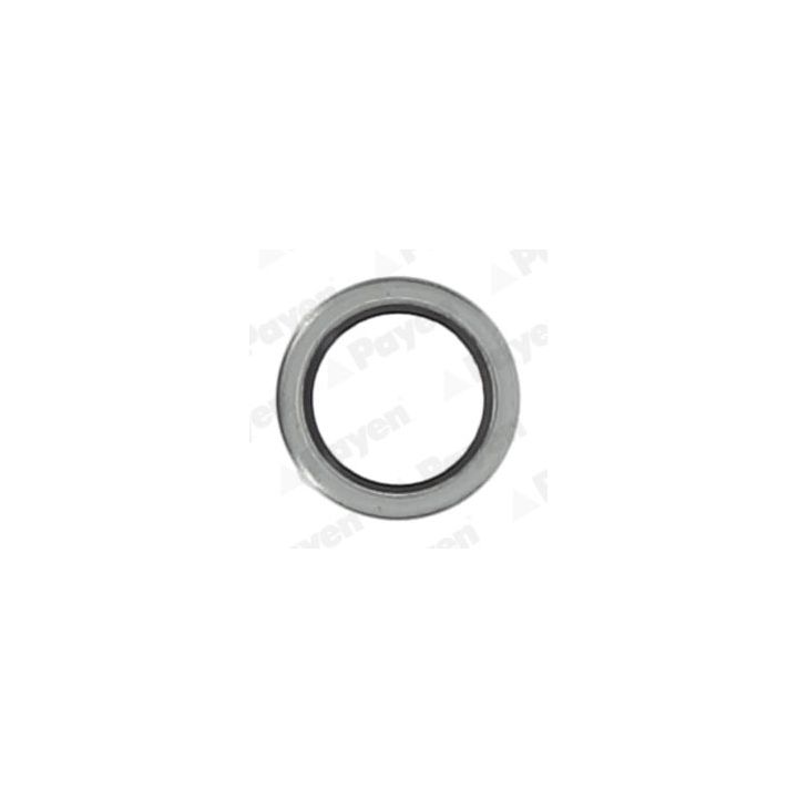 Tarpiklis, alyvos išleidimo angos kaištis PAYEN KG5011