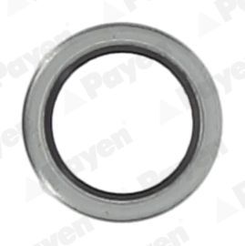 Tarpiklis, alyvos išleidimo angos kaištis PAYEN KG5011