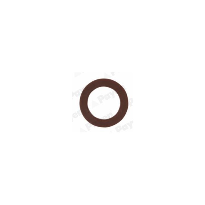 Tarpiklis, alyvos išleidimo angos kaištis PAYEN KG5313