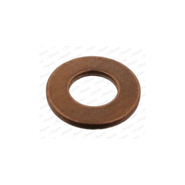 Tarpiklis, alyvos išleidimo angos kaištis PAYEN KG5338