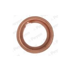 Tarpiklis, alyvos išleidimo angos kaištis PAYEN KG5353