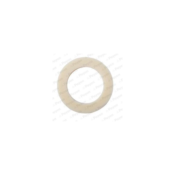 Tarpiklis, alyvos išleidimo angos kaištis PAYEN KG5366