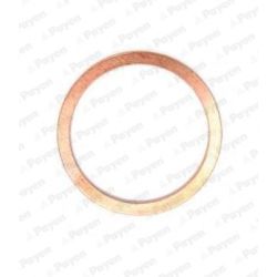 Tarpiklis, alyvos išleidimo angos kaištis PAYEN KG5386