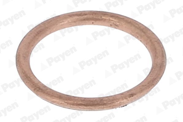 Tarpiklis, alyvos išleidimo angos kaištis PAYEN KJ647