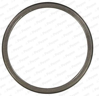 Tarpiklis, išleidimo kolektorius PAYEN JE625