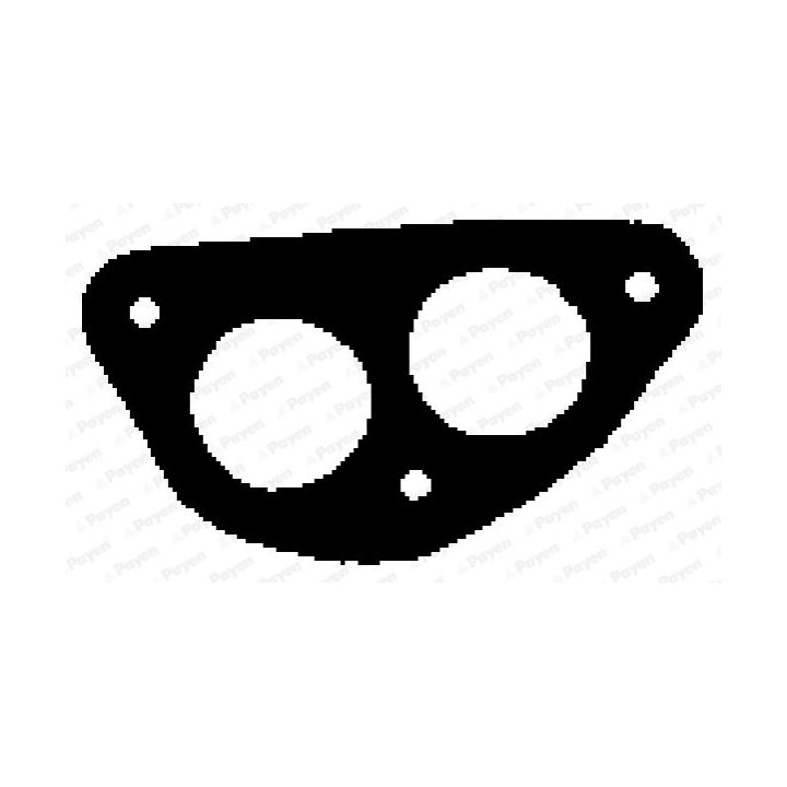 Tarpiklis, išleidimo kolektorius PAYEN JF145