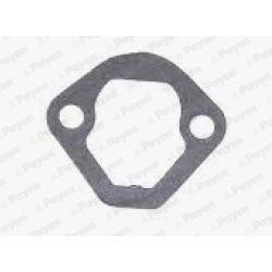 Tarpiklis, degalų siurblys PAYEN KS830