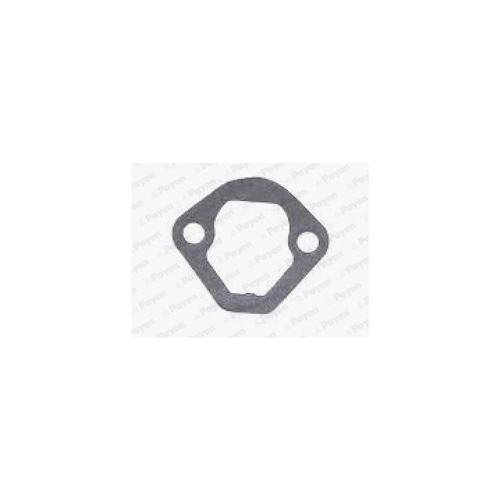 Tarpiklis, degalų siurblys PAYEN KS830