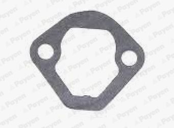 Tarpiklis, degalų siurblys PAYEN KS830