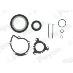 Tarpiklių rinkinys, variklio karteris PAYEN ED5500