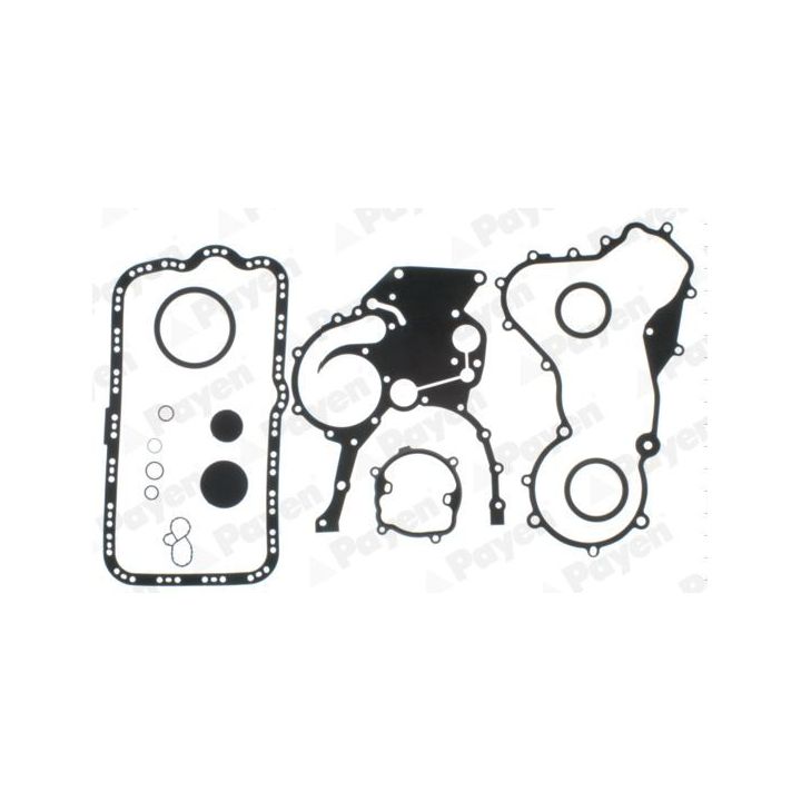 Tarpiklių rinkinys, variklio karteris PAYEN EE5220