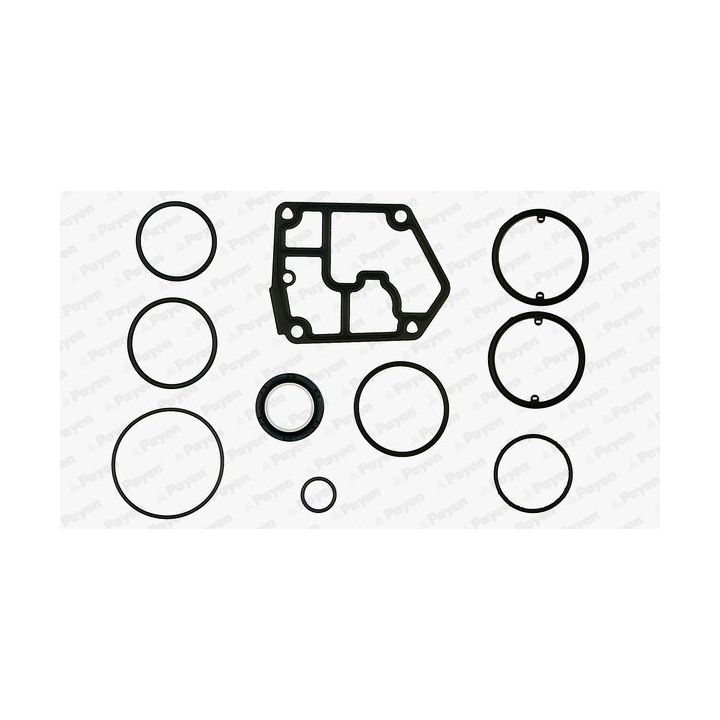 Tarpiklių rinkinys, variklio karteris PAYEN EF5380