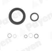 Tarpiklių rinkinys, variklio karteris PAYEN EG7950