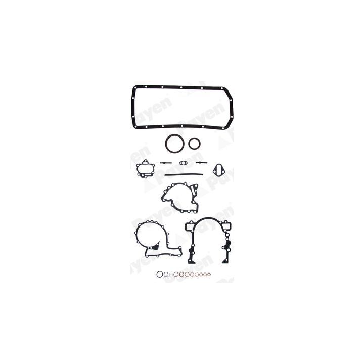 Tarpiklių rinkinys, variklio karteris PAYEN EG914