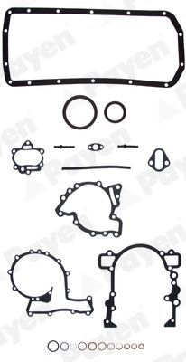 Tarpiklių rinkinys, variklio karteris PAYEN EG914