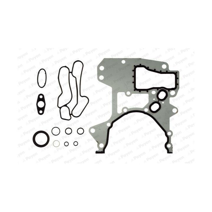 Tarpiklių rinkinys, variklio karteris PAYEN EH5240