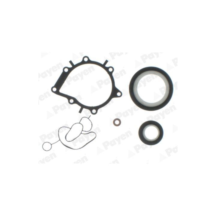 Tarpiklių rinkinys, variklio karteris PAYEN EH6520