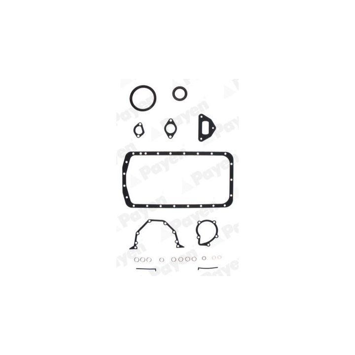 Tarpiklių rinkinys, variklio karteris PAYEN EL890