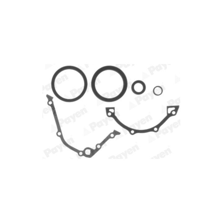 Tarpiklių rinkinys, variklio karteris PAYEN EP280