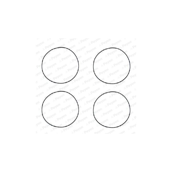 O žiedų komplektas, cilindro sraigtinė įvorė PAYEN HR564