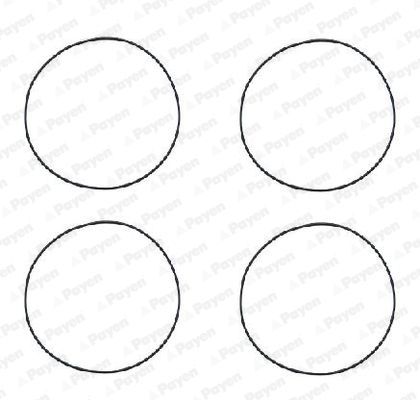 O žiedų komplektas, cilindro sraigtinė įvorė PAYEN HR564