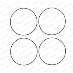 O žiedų komplektas, cilindro sraigtinė įvorė PAYEN HR566