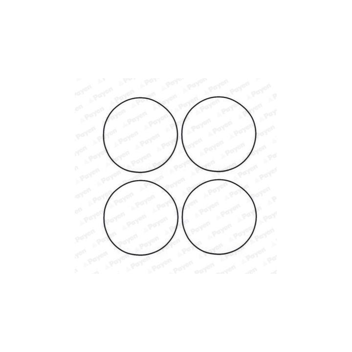 O žiedų komplektas, cilindro sraigtinė įvorė PAYEN HR566