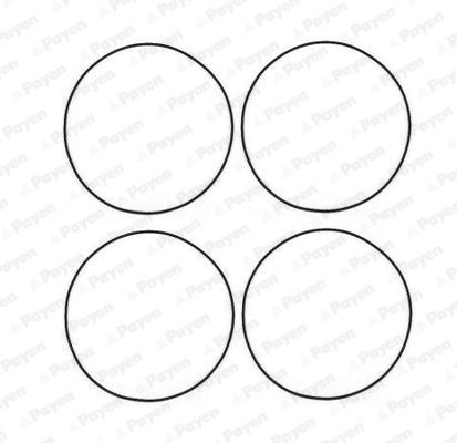 O žiedų komplektas, cilindro sraigtinė įvorė PAYEN HR566