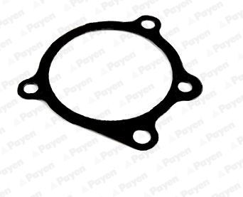 Tarpiklis, vandens siurblys PAYEN KA289