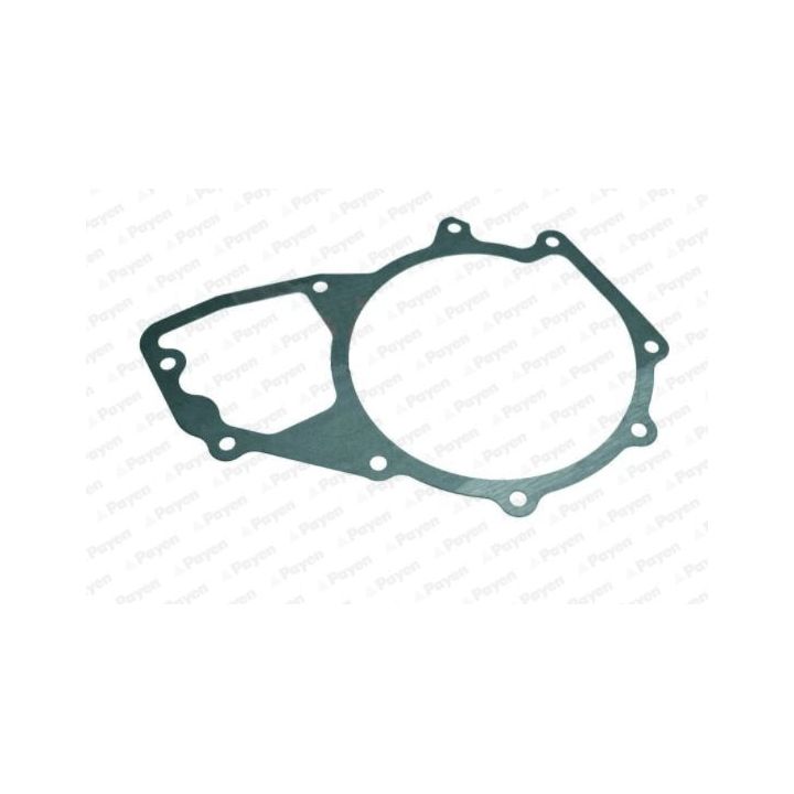 Tarpiklis, vandens siurblys PAYEN KA5038