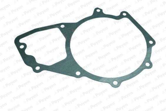 Tarpiklis, vandens siurblys PAYEN KA5038