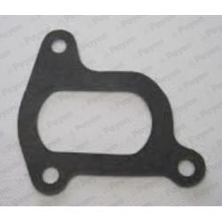 Tarpiklis, vandens siurblys PAYEN KA5053