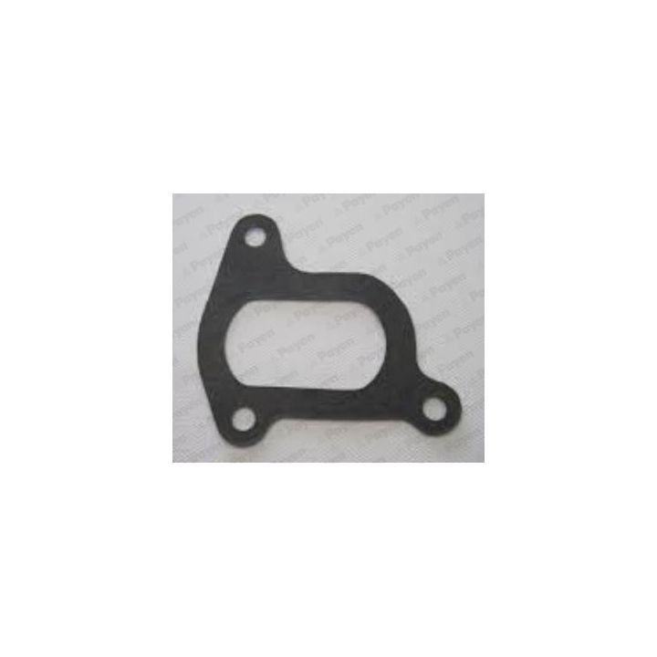 Tarpiklis, vandens siurblys PAYEN KA5053