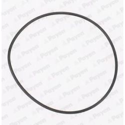 Tarpiklis, vandens siurblys PAYEN KA845