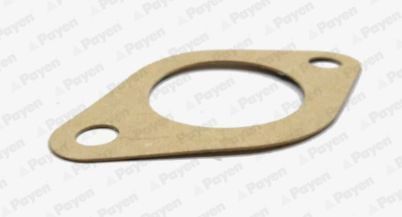 Tarpiklis, vandens siurblys PAYEN LT023