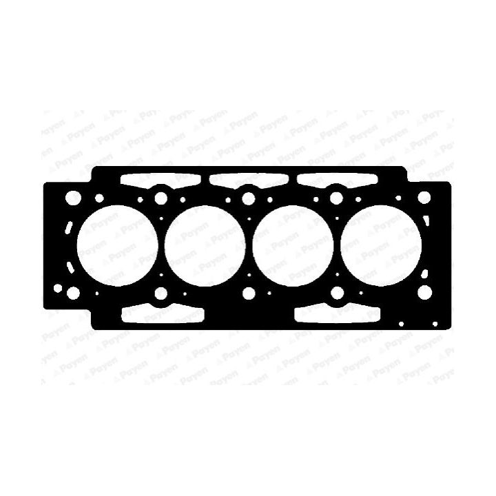 Tarpiklis, cilindro galva PAYEN AD5300