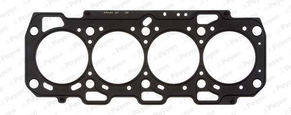 Tarpiklis, cilindro galva PAYEN AD5860