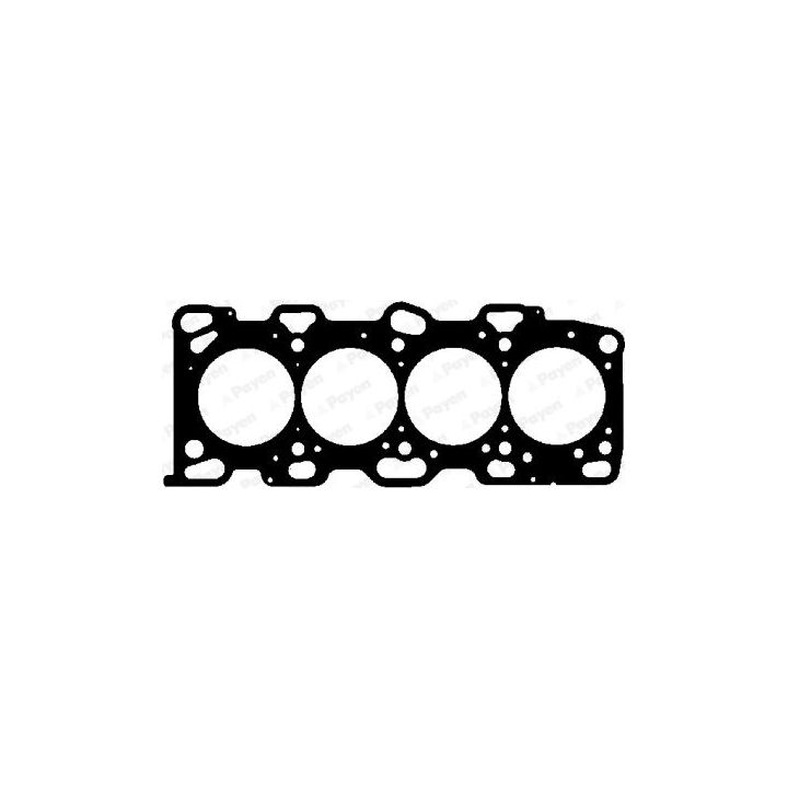 Tarpiklis, cilindro galva PAYEN AF5070