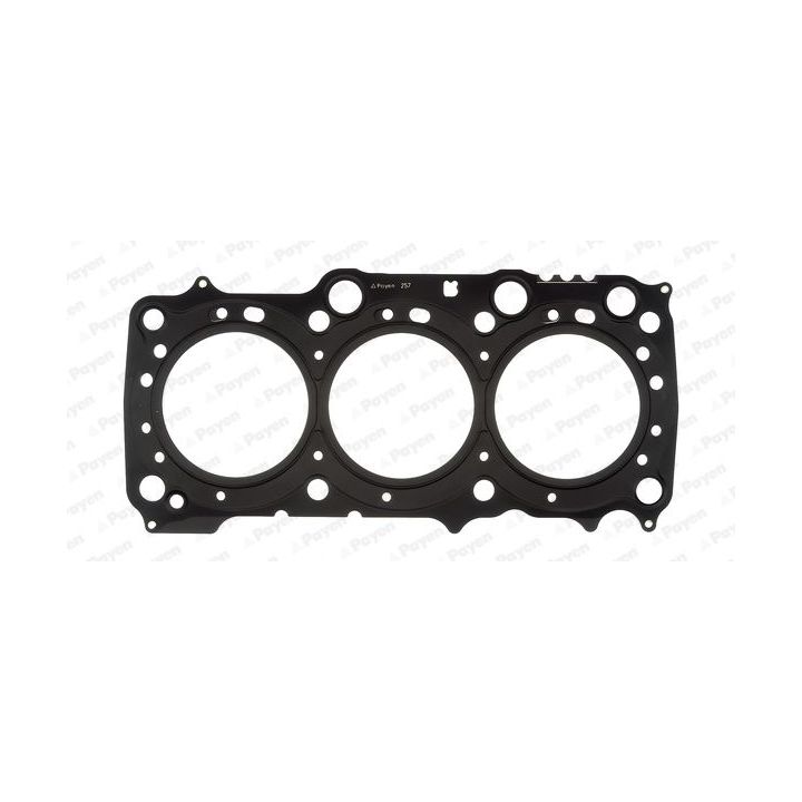 Tarpiklis, cilindro galva PAYEN AG9790