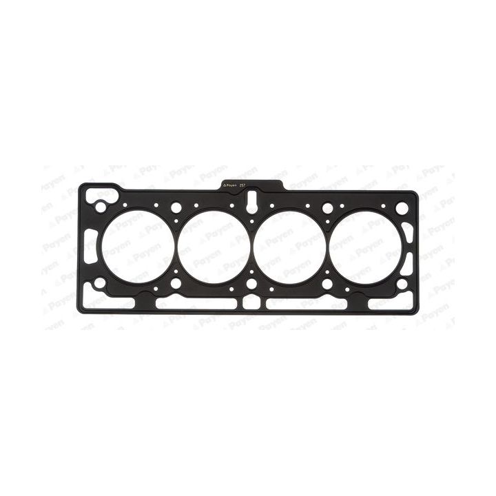 Tarpiklis, cilindro galva PAYEN AH5170