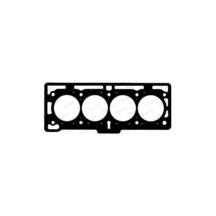 Tarpiklis, cilindro galva PAYEN AH5170