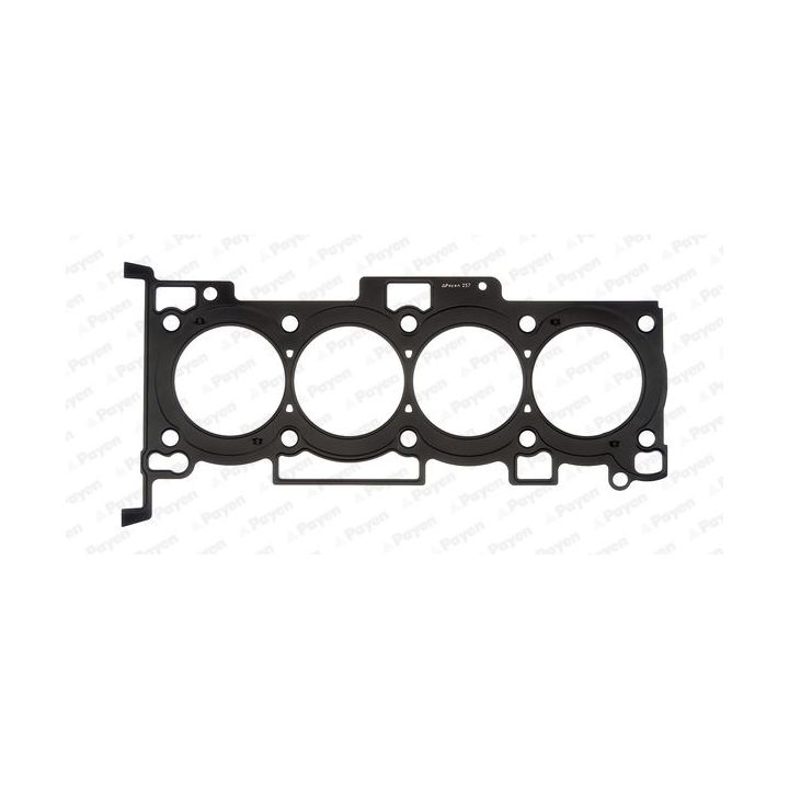 Tarpiklis, cilindro galva PAYEN AH6320