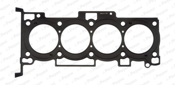 Tarpiklis, cilindro galva PAYEN AH6320