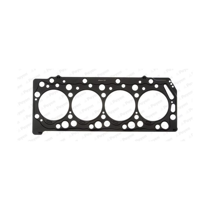 Tarpiklis, cilindro galva PAYEN AH6480