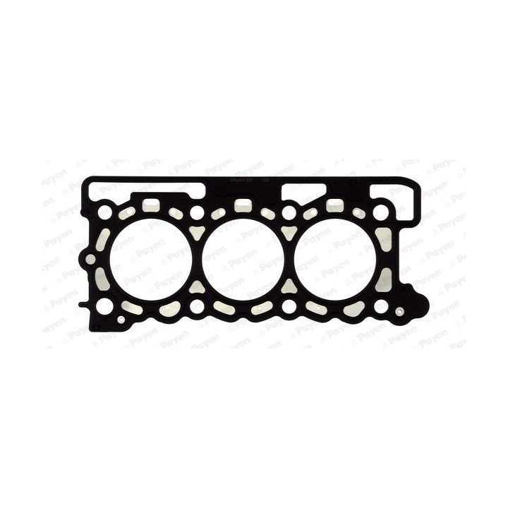 Tarpiklis, cilindro galva PAYEN AH7140