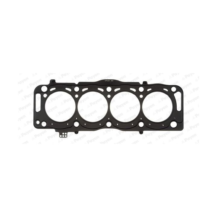 Tarpiklis, cilindro galva PAYEN AH7310