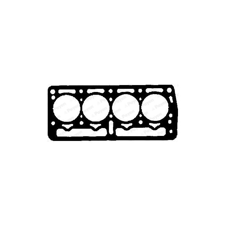 Tarpiklis, cilindro galva PAYEN AY430